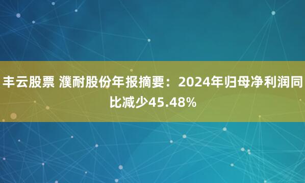 丰云股票 濮耐股份年报摘要：2024年归母净利润同比减少45.48%