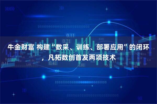 牛金财富 构建“数采、训练、部署应用”的闭环，凡拓数创首发两项技术